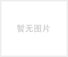 美国APC不间断电源SURT6000XLICH参数规格
