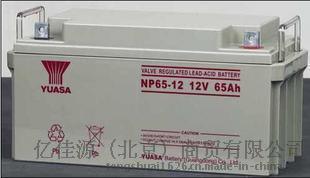 广东汤浅12V蓄电池NP65-12参数规格及报价